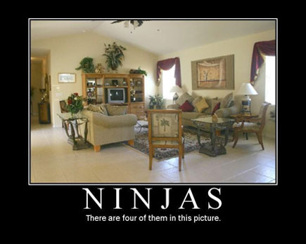 Ninjas