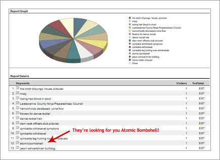 Web Statistics