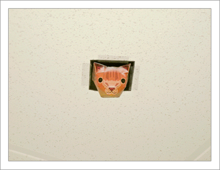 Ceiling Cats at Work